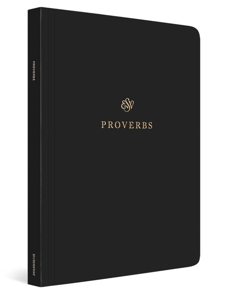 A Modern Bible Commentary On Proverbs 12 16 23 Conform To Jesus A modern bible commentary on proverbs 12 16 23 conform to jesus